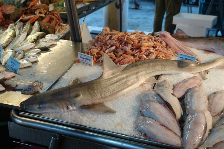 Venedig Fischmarkt Bild 1300