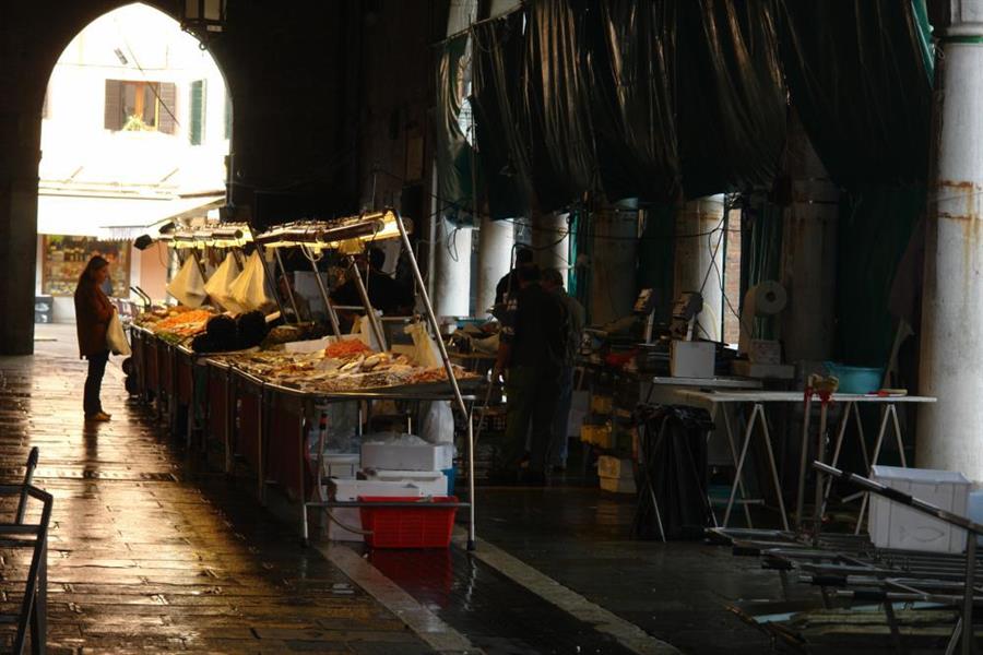 Venedig Fischmarkt Bild 5000