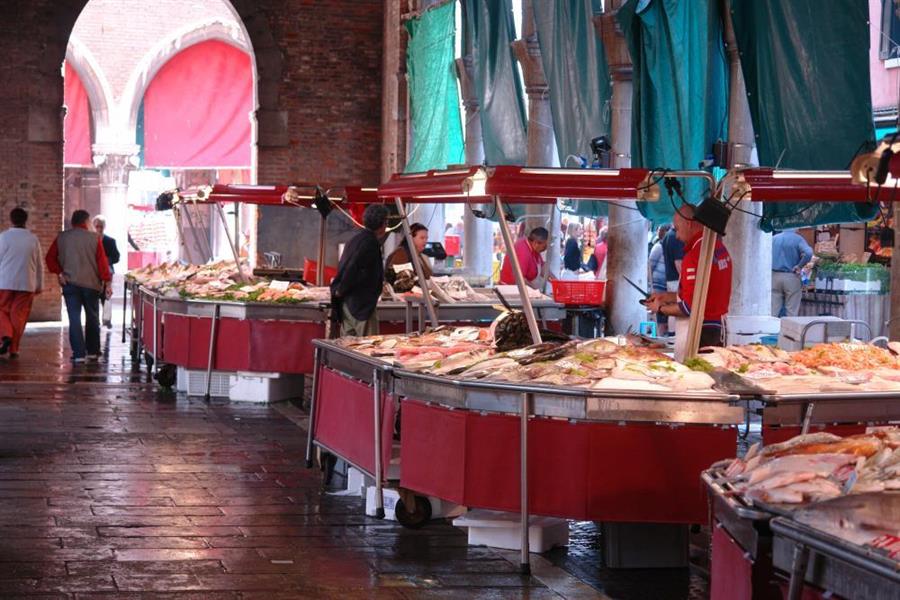 Venedig Fischmarkt Bild 5100