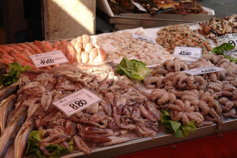Venedig Fischmarkt Bild 700