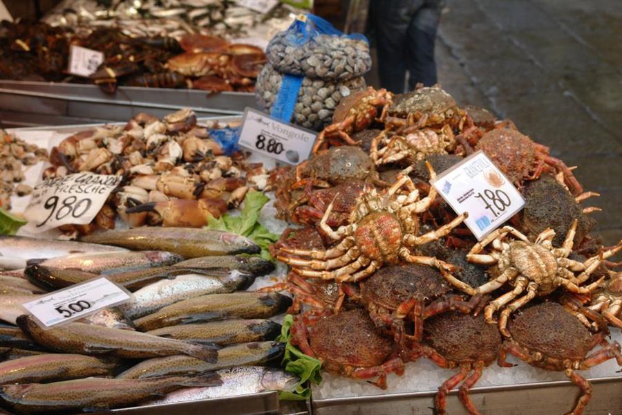 Venedig Fischmarkt Bild 800