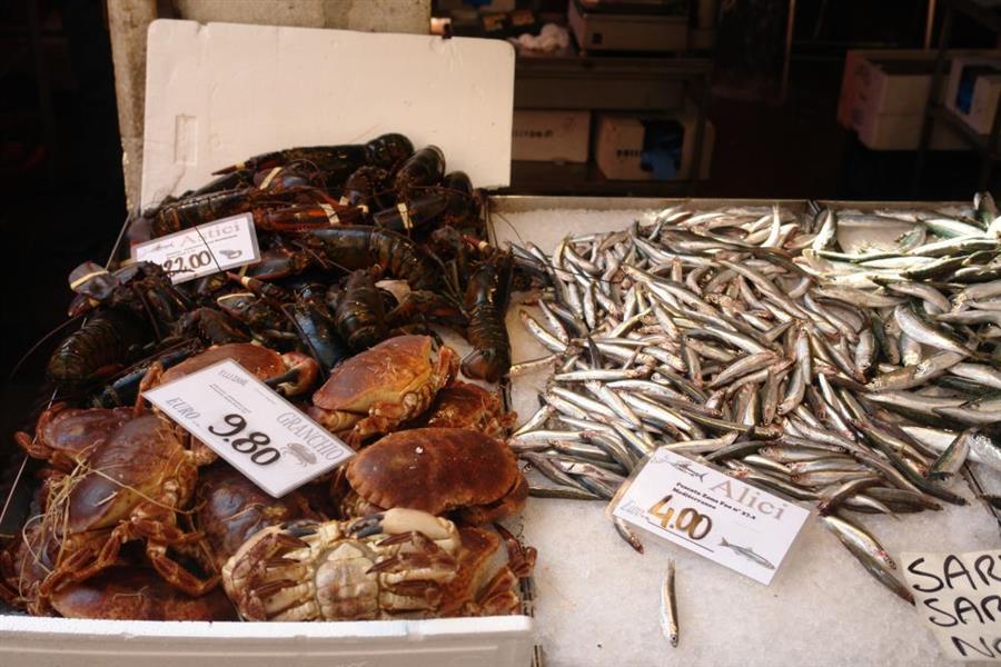 Venedig Fischmarkt Bild 900