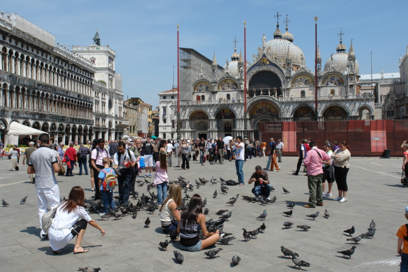 Tauben am Markusplatz